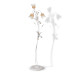 Stojací lampa 8730 "LUCIA" foto3